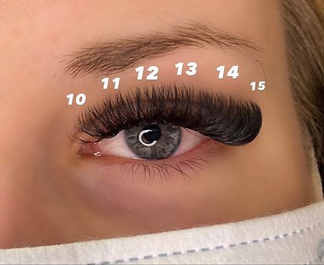 Lash Mapping Mega Volume, Russian Lash Mapping, Mega Volume Lash Mapping, Volume Cat Eye Mapping, Volume Mapping Lashes, Cat Eye Mega Volume Lash Extensions, Volume Cat Eye Lash Extensions Mapping, Mega Volume Lash Map, Mega Volume Cat Eye Lash Extensions