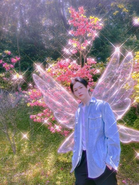 Fairy Felix Stray Kids Felix Skz, Straykids Hyunjin, K Pop, Stray Kids, The Story, Books Wattpad, Wattpad, Books