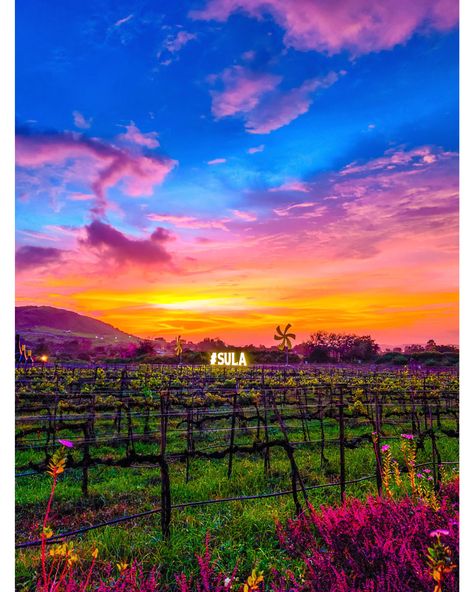 As part of our upcoming auction, The Gentleman's Sale, we're delighted to offer the perfect getaway at The Source at Sula, Asia’s finest vineyard stay and resort. 🍷 Nestled in Sula’s breathtaking vineyards in Nashik, the trip includes a two-night stay for a group of four in two Vineyard Suites. Expect the finest ambience and views for a memorable and restful weekend. Group Of Four, Wine Hampers, Shoulder Massage, Personalized Wine, Stay The Night, The Trip, The Source, Wine Tasting, Holiday Festival