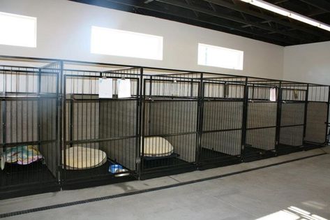 30+ Best Indoor Dog Kennel Ideas | Page 2 of 9 | The Paws Commercial Dog Kennel Ideas, Dog Kennel Inside, Dog Breeders Kennels, Dog Boarding Business, Dog Daycare Design, Dog Breeding Kennels, Dog Boarding Ideas, Dog Daycare Business, Hotel Pet