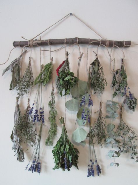 Wall Hanging Dried Herbal/Floral Arrangement, Rustic Decor Homegrown Herbs,  Culinary Collection, Aromatic Herbs This listing offers assorted bundles of dried organic herbs and flowers, all arranged on a Black Cherry tree branch with a rustic twine string for hanging.  They were hand-harvested, hand-trimmed, and then hung to air dry in spring 2024. Style Options: Option 1 - All Herbs -photo#1  The collection includes: Rosemary, German Thyme, Garden Sage, Sunshine Yarrow, English Lavender, Oregano, Mint, Mugwort, and Eucalyptus bundles  The number of herb types included may vary depending on the size of the arrangement chosen, ensuring a unique and harmonized visual appearance. Option 2 -  Herbs and Flowers -photo#2  Featuring an assortment of dried botanicals. The collection includes fragr Diy Herb Dryer, Herb Witch Aesthetic, Hung Flowers, Dried Herbs Hanging, Rosemary Decor, Herb Hanging, Tree Branch Decor Diy, Cherry Tree Branch, Homegrown Herbs