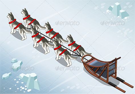 Isometric Sled Dogs in Rear View on Ice Sled Dogs, Sled Dog, Detailed Illustration, Dog Logo, Dog Sledding, Sled, Rear View, Husky, Dogs