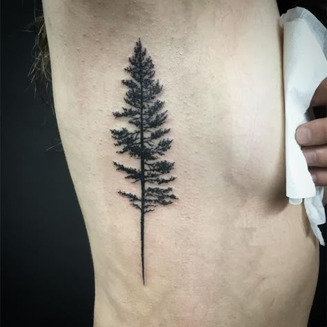 Fir Tree - Hand poke tattoo by Sarah Lu @needleandchopsticktattoo @bluedragontattoobrighton #handpoke #handpoketattoo #handpushed… Doug Fir Tattoo, Fir Tree Tattoos, Spruce Tree Tattoo, Tree Tatto, Evergreen Tattoo, Sarah Tattoo, Blue Dragon Tattoo, Hand Poke Tattoo, Pine Tattoo