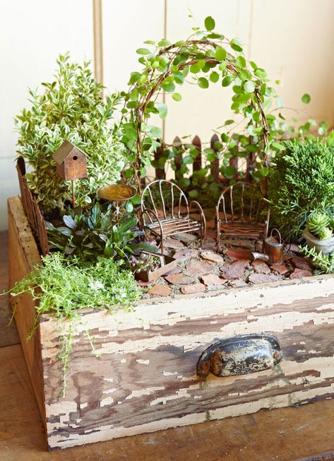 Taman Diy, Indoor Fairy Gardens, Jardim Diy, Fairy Garden Crafts, Fairy Garden Designs, Garden Vines, Faeries Gardens, Mini Fairy Garden, Fairy Garden Houses