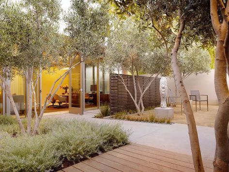 A Modern Courtyard for a Midcentury Office - Mid Century Home Architecture Screen, Screen Fencing, Privacy Wall, Modern Courtyard, Cozy Patio, Dream Yard, Ground Level, Patio Outdoor, Courtyard Garden