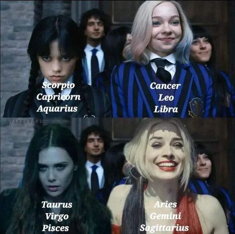 Zodiac Signs Virgo And Scorpio, Taurus X Gemini, Zodiac Signs Funny Situations Together, Aquarius X Scorpio, Zodiac Signs Funny Situations, Zodiac Memes Funny, Pisces And Virgo, Gemini Zodiac Quotes, Zodiac Signs Pictures