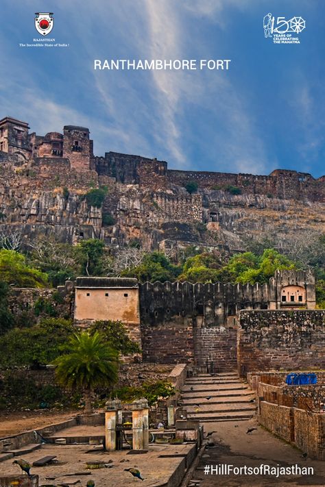 You’ve obviously heard of the Ranthambore National Park and are reminded of tigers immediately. Located inside the Ranthambhore National Park is the Ranthambhore Fort - one of the oldest surviving structures of an Indian palace. Recognised as a UNESCO World Heritage Site under 'Hill Forts of Rajasthan', this fort draws tourists too. Explore it on your next visit! Ranthambore Fort, Ranthambore National Park, Indian Palace, Fall Landscape Painting, Fall Landscape, States Of India, Banyan Tree, Autumn Landscape, Unesco World Heritage Site