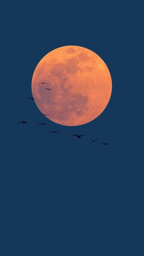 1366x768 Wallpaper Hd, Moon Shine, Moon Wallpaper, The Moon Is Beautiful, Look At The Moon, Wallpaper Doodle, Moon Pictures, Soft Wallpaper, Moon Photography