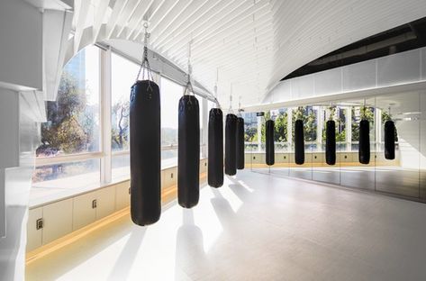 Gallery of Muay Thai Space / BWAO - 22 Muay Thai Gym, Kickboxing Workout, Ronda Rousey, Krav Maga, Boxing Workout, Wing Chun, Zaha Hadid, Aikido, Parkour