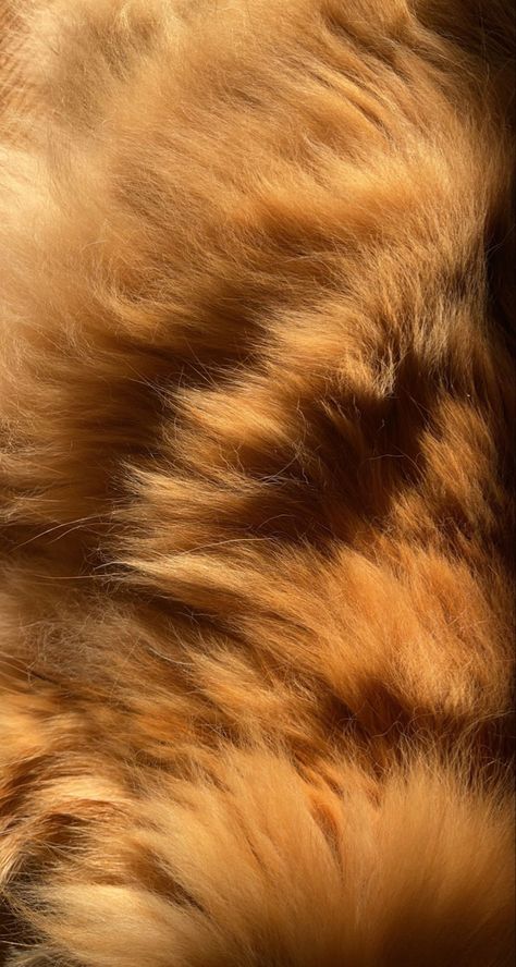 Rihanna Photoshoot, Fur Background, Wallpaper Crafts, A Level Textiles, Lions Photos, Fur Texture, Skin Structure, Texture Photography, Animal Fur