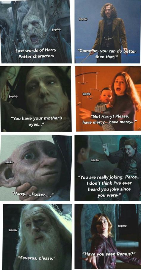 Harry Potter Parody, Funny Harry Potter Jokes, Potter Head, Harry Potter Feels, Harry Potter Puns, Harry Potter Pin, Harry Potter Images, Images Harry Potter, Harry Potter Comics