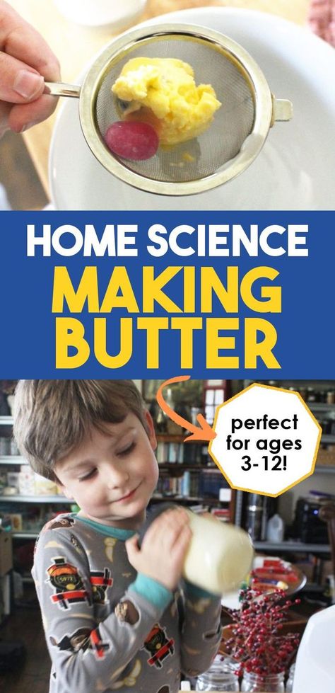 Butter From Heavy Cream, Milk Science Experiment, Summer Learning Activities, Learning Activities For Kids, Early Science, Make Butter, Kids Milk, Kid Science, Science Experiments For Preschoolers