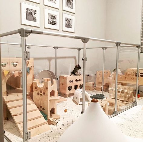 Indoor Rabbit Setup Bunny Cages, Best Indoor Bunny Setup, Rabbit Set Up Indoor Diy, Bedroom Bunny Setup, Cute Bunny Cages Indoor, Chinchilla Room Ideas, Best Bunny Cage Set Up, Cute Bunny Set Up, Animal Room Ideas Pets