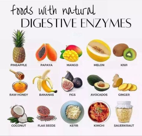 Food Health Benefits, Makanan Diet, Snacks Saludables, Healthy Lifestyle Food, Holistic Nutrition, Healing Food, Digestive Enzymes, Food Facts, Improve Digestion