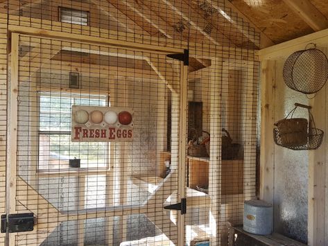 Diy Dog Pen Indoor, Diy Dog Pen, Indoor Chicken, Inside Chicken Coop, Backyard Wall, Urban Chicken Farming, Portable Chicken Coop, Coop Design, Best Chicken Coop