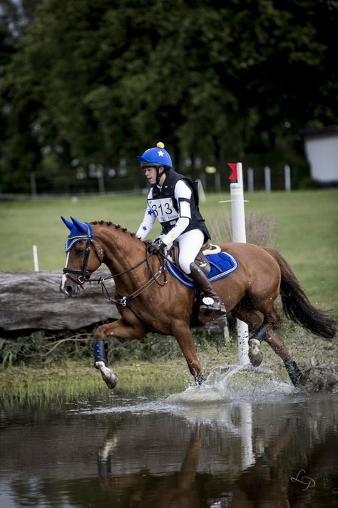 Race Horses Thoroughbred, Cross Country Horses, Xc Horse, Horse Cross Country, Horse Disciplines, Horse Eventing, Horse With Rider, Eventing Cross Country, Show Jumping Horses