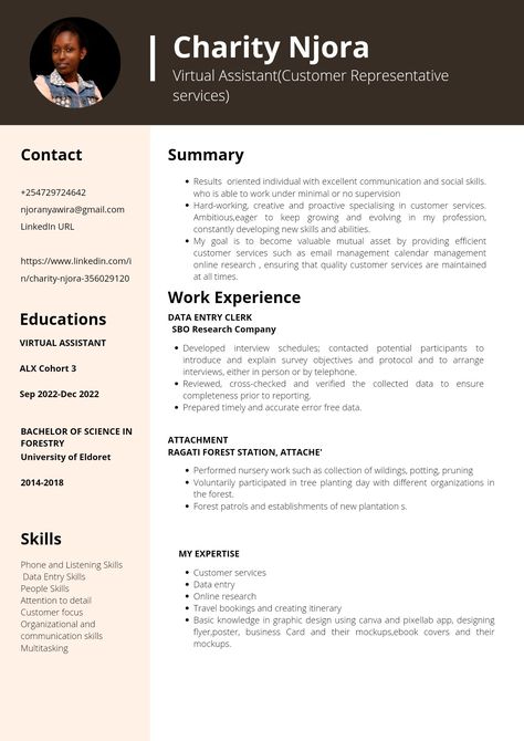 Data Entry Resume, Virtual Assistant Resume, Data Entry Clerk, Calendar Management, Cv Examples, Job Advice, Job Interview Tips, Data Analyst, Interview Tips