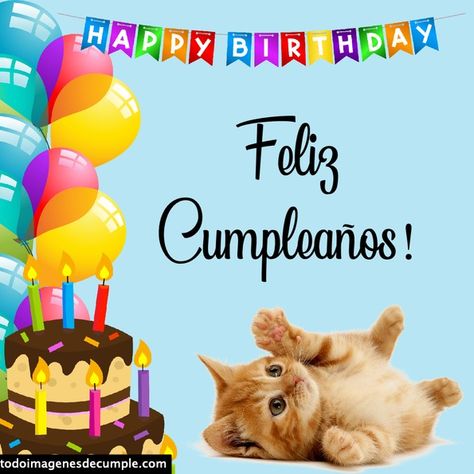 Bellas y tiernas imágenes de FELIZ CUMPLE con GATITOS ❤️ ideales para descargar gratis y usar en redes sociales!. Baby Neck Float, Happy Week, Mens Pullover, Happy A, Tops For Men, Men Vintage, Tshirt Colors, Birthday Wishes, Linen Shirt