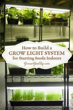 How to assemble a Grow Light System for Starting Seeds Indoors for around $100! | Grow a Good Life Grow Lights For Seed Starting, Compost Garden, Growing Food Indoors, Cold Frames, Indoor Vegetables, Indoor Grow, Starting Seeds, Starting Seeds Indoors, Indoor Vegetable Gardening