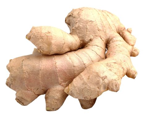 Ginger Roots, Growing Ginger, Tattoo Plant, Ginger Plant, Growing Garlic, Ginger Oil, Asian Grocery, Ginger Root, Plant Care