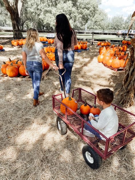 Pumpkin Patch Time – A Guide to Visiting a Pumpkin Patch with Kids – Kimmy Manzo Pumpkin Patch Kids, Fall Festivals, Florida Fashion, Pumpkin Picking, Patch Kids, Like Crazy, Fall Festival, Travel Information, 90 Degrees