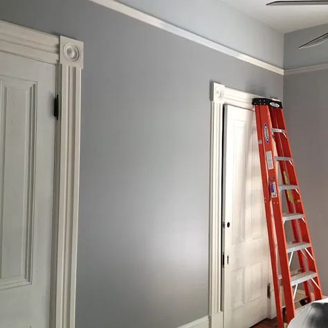 Bm Timber Wolf Wall Paint Timber Wolf Benjamin Moore, Wolf Wall Painting, Benjamin Moore Exterior, Benjamin Moore Gray, Wolf Painting, Timber Wolf, Benjamin Moore Paint, Grey Cabinets, Wall Paint