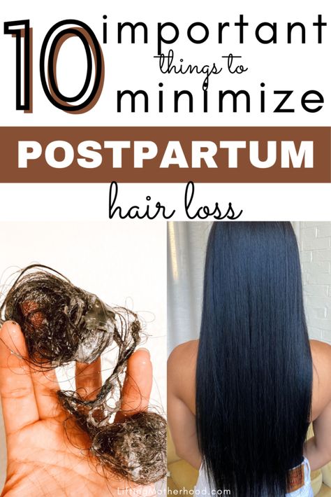 Losing Hair After Pregnancy, Pregnancy Haircut, Postpartum Outfits, Grow New Hair, Pregnancy Hairstyles, Pregnancy Meals, Workout Hair, Postpartum Hair, Boy Newborn