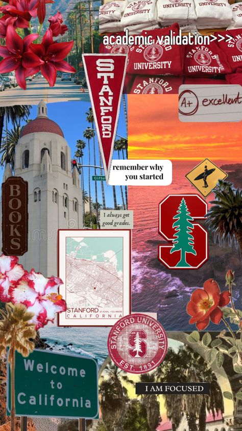 #stanford #ivyleague #academicvalidation #university #stanforduniversity #college #california Stanford Medical School, Stanford College, Stanford California, University Inspiration, Stanford Law, Oxford College, College Vision Board, Law School Inspiration, College Motivation