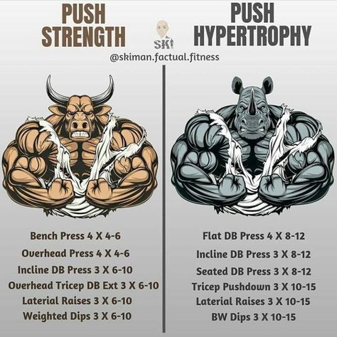 Fitness ● Workout ● Motivation on Instagram: “🔥 PUSH STRENGTH VS. PUSH HYPERTROPHY 🔥 - ✔️ | I've been asked a lot about push, pull, legs split... So I'll be incorporating some breakdowns…” Hypertrophy Workout, Push Day Workout, Push Pull Workout, Healthy Physique, Workouts For Men, Muscle Bodybuilder, Push Pull Legs, Push Workout, Push Day