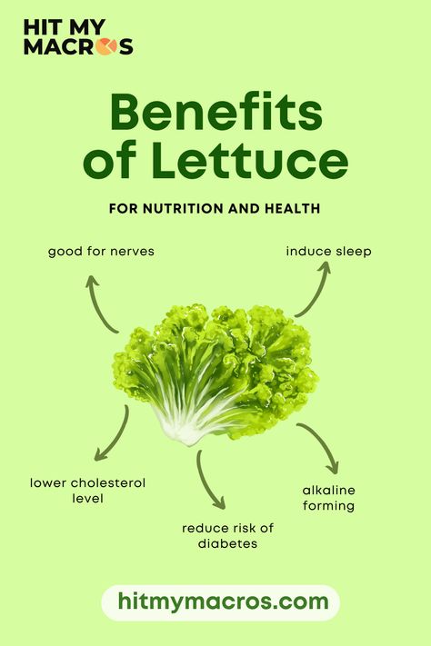 Unlock the Dreamland: Harness the Sleep-Inducing Benefits of Lettuce! 🌿💤 Discover how this leafy green can naturally promote relaxation and induce restful sleep. Explore the soothing benefits of lettuce at hitmymacros.com and drift into a night of deep, rejuvenating slumber! #SleepHealth #LettuceBenefits #NaturalSleepAid #HitMyMacros Benefits Of Lettuce, Lettuce Benefits, Health Benefits Of Radishes, Macro Meal Planner, Nutrition 101, Macro Meal Plan, Planner Workout, Macro Calculator, Fitness Planner Printable