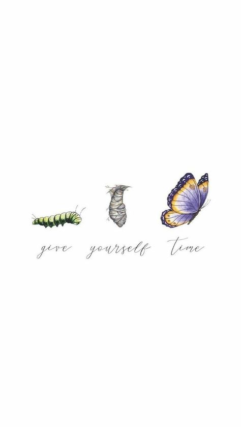 #mindset #progress #opportunity #caterpillar #butterfly #dontgiveup #believeinyourself #bekind Give Yourself Time To Grow, Give Yourself Time, Wise Words, The Words, Positive Quotes, Words Of Wisdom, To Grow, Self Love, Butterflies