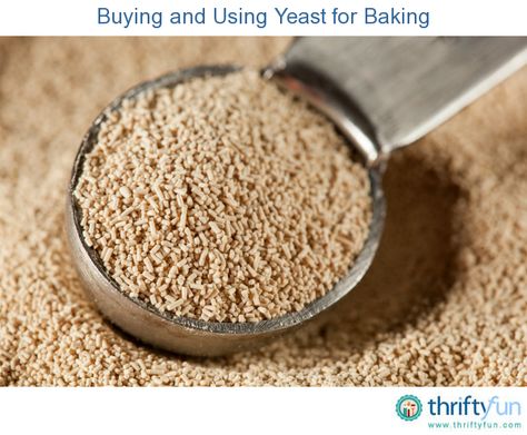 This guide is about buying and using yeast for baking. Active dry baking yeast comes in a variety of sizes. You want to be sure the amount you buy, retains its freshness and remains active. Sereal Sarapan, Quinoa Health Benefits, Quinoa Benefits, Bakers Yeast, Fluffy Dinner Rolls, Chef Tips, Bread Baker, Box Cake Mix, Food Supply