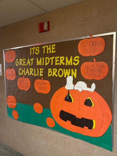 It’s the great midterms charlie brown! RA bulletin board with study tips and advice. Charlie Brown Halloween Bulletin Boards, Midterm Bulletin Board Ra, Midterms Bulletin Board, School Bulletin Board Ideas High School, Charlie Brown Bulletin Board, Charlie Brown Ra Bulletin Board, Dei Bulletin Board Ideas, Snoopy Ra Board, Thanksgiving Ra Bulletin Boards