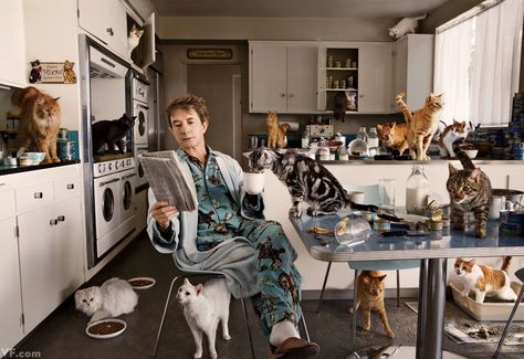 @edinharvey Celebrities With Cats, Sam Jones, Martin Short, Steve Martin, Lots Of Cats, Annie Leibovitz, Adam Sandler, Cat People, Ellen Degeneres