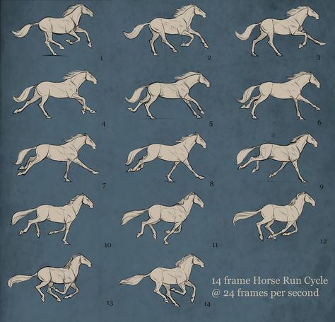 Horse Running Drawing, Running Drawing, Running Illustration, Aaron Blaise, Horse Animation, Horse Running, Horses Running, Horse Sketch, Horse Anatomy