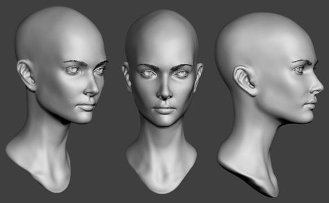 Female Head sculpt by X32Lapis. Digital Sculpting, 3d Karakter, Head Anatomy, Zbrush Character, Face Anatomy, Anatomy Sculpture, Human Anatomy Drawing, Anatomy Sketches, Female Head