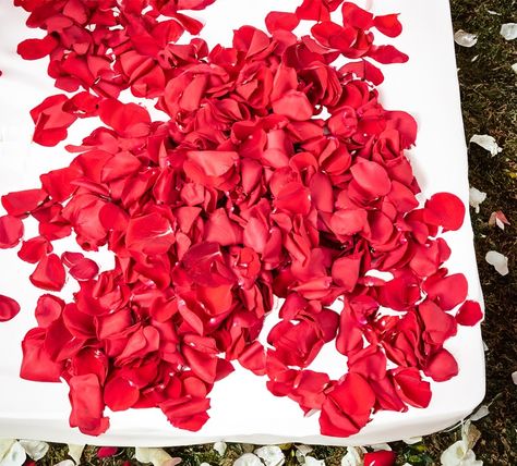 Whether you’re filling up a basket for the flower girl or preparing for an unforgettable petal toss, we have the perfect rose petals for your special day! 🌹 Reserve your wedding flowers at FlowersForWeddings.com 💐 #flowersforweddings #weddingflowers Flowers, Wedding Flowers, Petal Toss, Your Special, Rose Petals, Dance Videos, Special Day, Flower Girl, Quick Saves