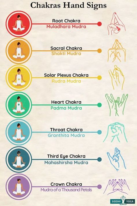 A Beginner’s Guide to Chakra hand Signs | Siddhi Yoga Mudra For Heart, Chakra Stones Chart, Muladhara Chakra, Hand Mudras, Hand Signs, Meditation Scripts, Yoga For Seniors, Ayurveda Yoga, Online Yoga Classes