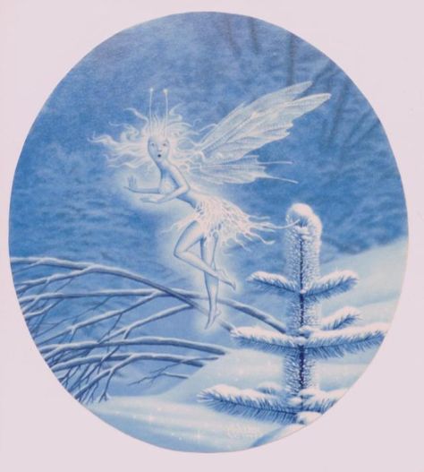 Snow fairy Snow Fairy Art, Winter Fairy Art, Winter Faerie, Suzy Snowflake, Winter Fae, Snow Fairies, Fairy Lore, Fairies Aesthetic, Mystical Pictures