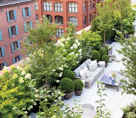 Garden On Top Roof, Plants On Roof Top, Roof Top Gardens Ideas, Rooftop Terrace Plants, Rooftop Gardens Design, Rooftop Plants Ideas, Urban Rooftop Garden, Roof Top Garden Ideas, Garden On Terrace