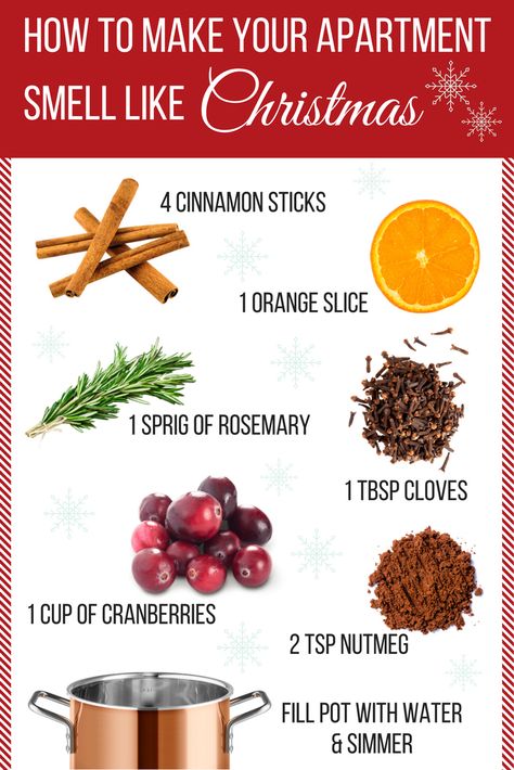 How to Make Your Apartment Smell like Christmas | Hirschfeld Christmas Scent In Crockpot, Boiling Scents House Smells, Christmas Popourie, How To Make Your Home Smell Like Williams Sonoma, Ways To Make House Smell Good, How To Smell Like Christmas, How To Make Your House Smell Good, Air Freshener Recipes, Stove Top Potpourri