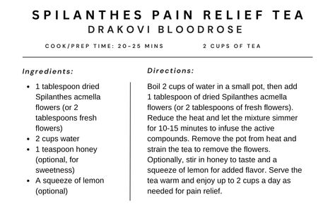 Stay healthy and pain free with this Spilanthes Pain Relief Tea, crafted by Drakovi Bloodrose, a skilled herbalist. This tea blends the soothing properties of Spilanthes acmella with optional honey and lemon for a comforting remedy. Enjoy this tea as a natural pain relief option by brewing it with dried or fresh Spilanthes flowers. Simply boil water, steep the flowers, strain, and add honey and lemon if desired. Drink up to 2 cups a day as needed for effective pain management. Try Drakovi's ... Pain Relief Tea, Herbal Recipes, Natural Pain Relief, Cooking Prep, Drink Up, Tea Blends, Pain Free, Natural Medicine, Tea Recipes