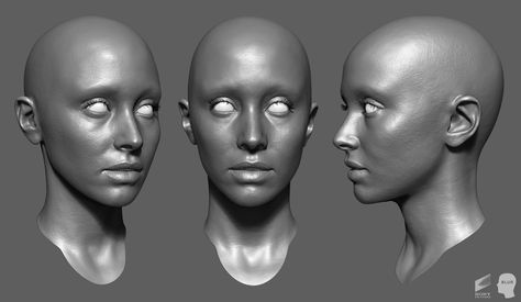 Croquis, Digital Sculpting, Sculpting Reference, Zbrush Sculpting, Sketch Animation, Anatomy Studies, Face Sculpting, Head Anatomy, Facial Anatomy