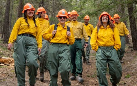 us forest service Seasonal Jobs, Us Forest Service, The Call Of The Wild, Service Jobs, Call Of The Wild, Forest Service, Local Travel, Plant Species, Exciting News