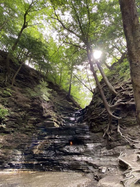 eternal flame falls Eternal Flame Falls, Eternal Flame, Western New York, Fall Hiking, Hiking Trail, On Fire, Hiking Trails, Designs To Draw, Road Trip