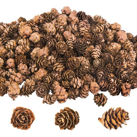 Deloky 1000 PCS Christmas Natural Mini Pine Cones-Thanksgiving Pinecones Ornaments for DIY Crafts, Home Decorations ,Christmas and Fall,Wedding Decor (1000 Pcs) Crafts Home, Pinecones Ornaments, Christmas Wedding Decor, Mini Pinecones, Rustic Wood Bowl, Fall And Christmas, Mini Pine Cones, Diy Crafts Home, Christmas Cones