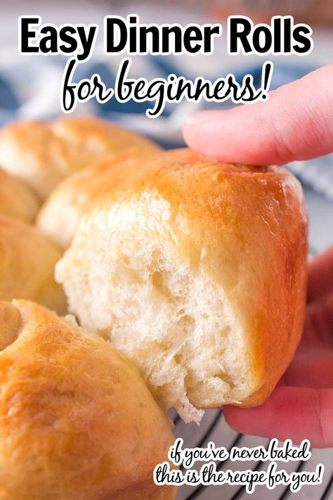 20 Minute Dinner Rolls, Homemade Rolls No Yeast, Homemade Dinner Rolls Without Mixer, Fast Rise Yeast Bread, Dinner Rolls Recipe No Mixer, Overnight Yeast Rolls Recipe, Yeast Rolls No Egg, Home Made Yeast Rolls Step By Step, Easy Dinner Rolls Quick Rise Yeast