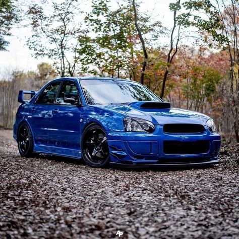 Subaru Wrx Blobeye, Blobeye Subaru, Subaru Blobeye, Subaru Gt, Subaru Impreza Hatch, Subaru Auto, 2004 Subaru Wrx, Subaru Wrx Impreza, 2006 Subaru Wrx