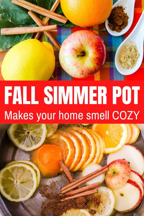 Simmer pots are a non-toxic, chemical-free, and safe way to fill your house with the aroma of fall! This Fall Simmer Pot recipe is a natural air freshener and SO EASY. Budget-friendly and smells incredibly delicious. We love fall simmer pots. Natural Air Freshener Diy, Fall Simmer Pot, Air Freshener Recipes, Fall Smells, Fun Foods To Make, Simmer Pots, Homemade Potpourri, Simmer Pot Recipes, Kitchen Witch Recipes