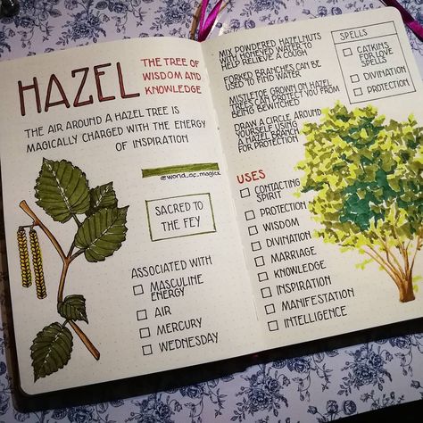 Herb Journal, Witch Spring, Tree Of Wisdom, Herbal Witch, Magickal Herbs, Green Witchcraft, Plant Journal, Magic Herbs, Grimoire Book